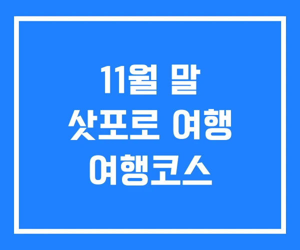 11월 말 삿포로 여행 여행코스
