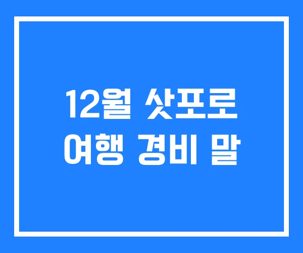 12월 삿포로 여행 경비 말 12월 삿포로 여행 경비 말