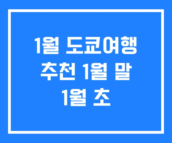 1월 도쿄여행 추천 1월 말 1월 초 1월 도쿄여행 추천 1월 말 1월 초