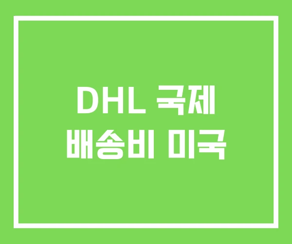 DHL 국제 배송비 미국 DHL 국제 배송비 미국