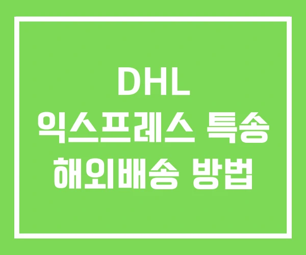 DHL 익스프레스 특송 해외배송 방법