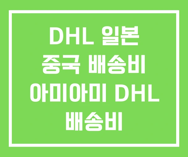 DHL 일본 중국 배송비 아미아미 DHL 배송비