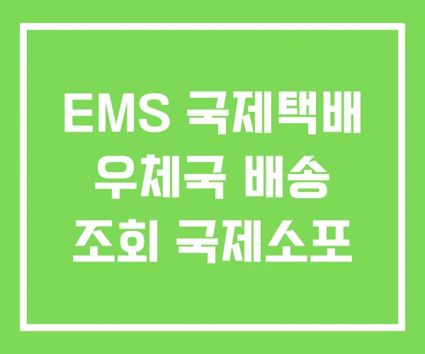 EMS 국제택배 우체국 배송 조회 국제소포