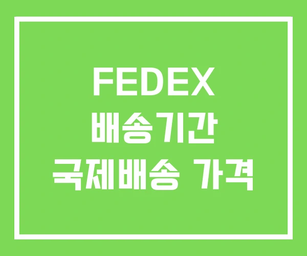 FEDEX 배송기간 국제배송 가격