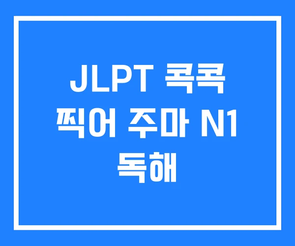 JLPT 콕콕 찍어 주마 N1 독해