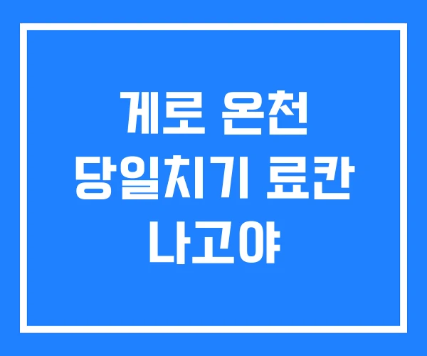 게로 온천 당일치기 료칸 나고야