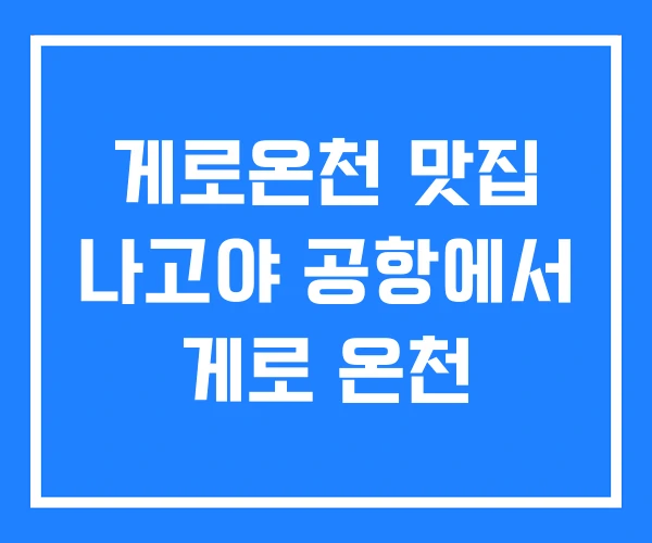 게로온천 맛집 나고야 공항에서 게로 온천
