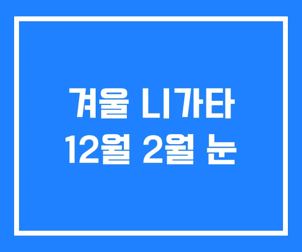 겨울 니가타 12월 2월 눈