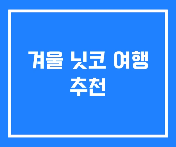 겨울 닛코 여행 추천