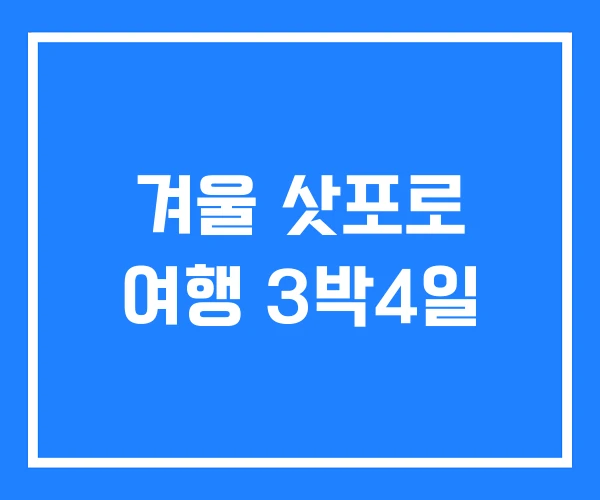 겨울 삿포로 여행 3박4일 겨울 삿포로 여행 3박4일