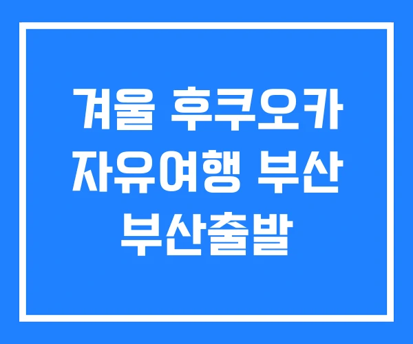 겨울 후쿠오카 자유여행 부산 부산출발