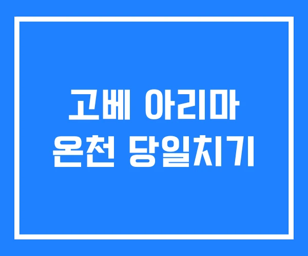고베 아리마 온천 당일치기