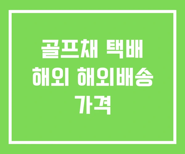 골프채 택배 해외 해외배송 가격 골프채 택배 해외 해외배송 가격
