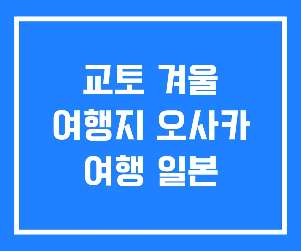 교토 겨울 여행지 오사카 여행 일본