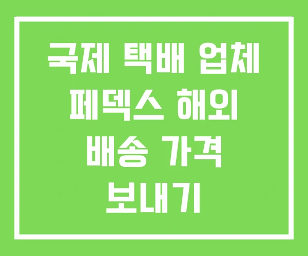 국제 택배 업체 페덱스 해외 배송 가격 보내기