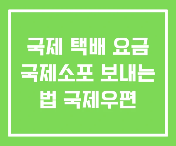 국제 택배 요금 국제소포 보내는 법 국제우편 국제 택배 요금 국제소포 보내는 법 국제우편