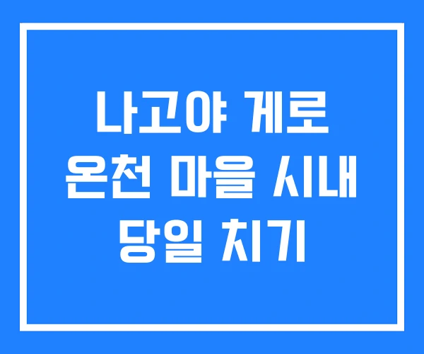 나고야 게로 온천 마을 시내 당일 치기 나고야 게로 온천 마을 시내 당일 치기