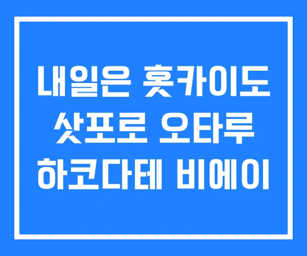 내일은 홋카이도 삿포로 오타루 하코다테 비에이