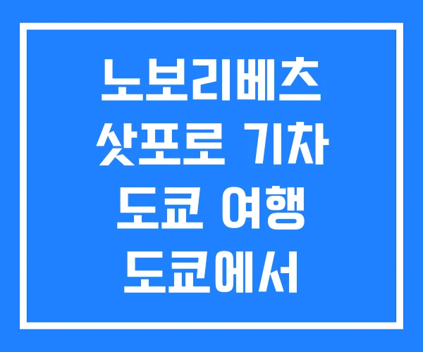 노보리베츠 삿포로 기차 도쿄 여행 도쿄에서