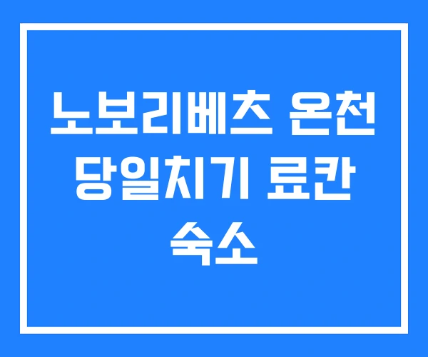 노보리베츠 온천 당일치기 료칸 숙소