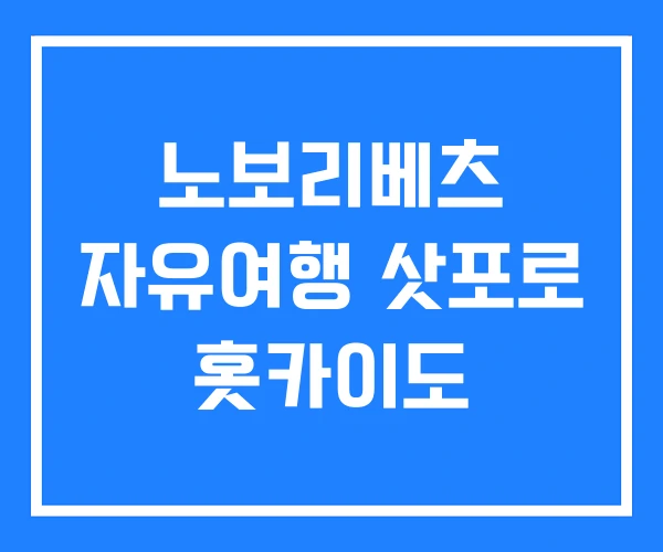 노보리베츠 자유여행 삿포로 홋카이도