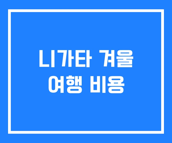 니가타 겨울 여행 비용
