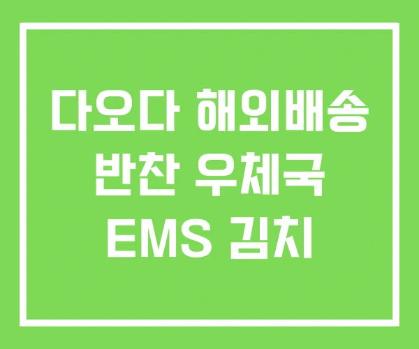 다오다 해외배송 반찬 우체국 EMS 김치