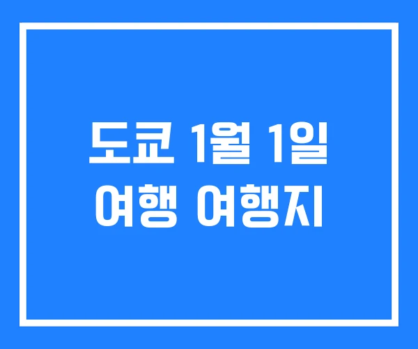 도쿄 1월 1일 여행 여행지
