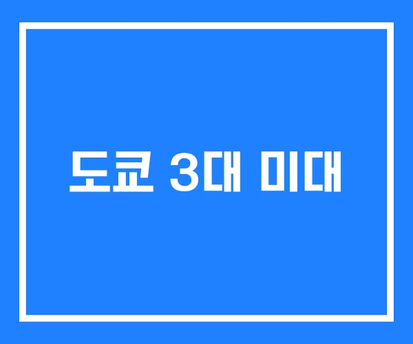 도쿄 3대 미대