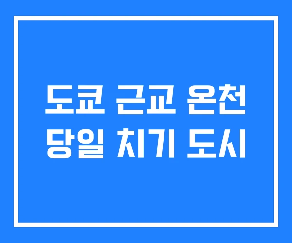 도쿄 근교 온천 당일 치기 도시