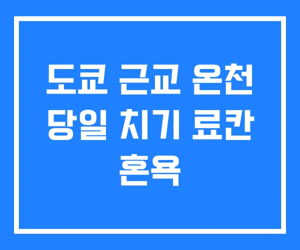 도쿄 근교 온천 당일 치기 료칸 혼욕