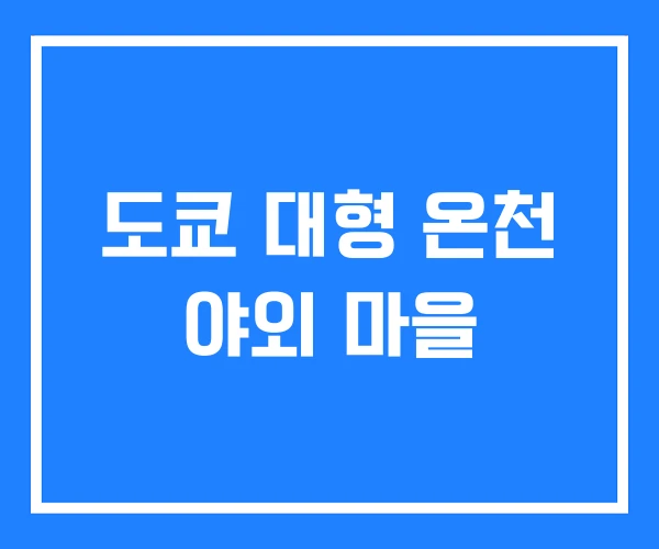 도쿄 대형 온천 야외 마을