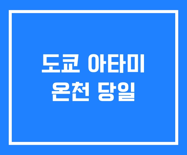 도쿄 아타미 온천 당일 도쿄 아타미 온천 당일