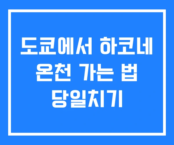 도쿄에서 하코네 온천 가는 법 당일치기