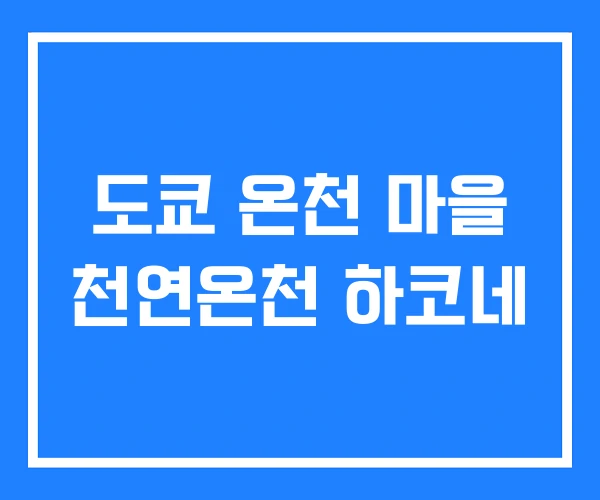 도쿄 온천 마을 천연온천 하코네