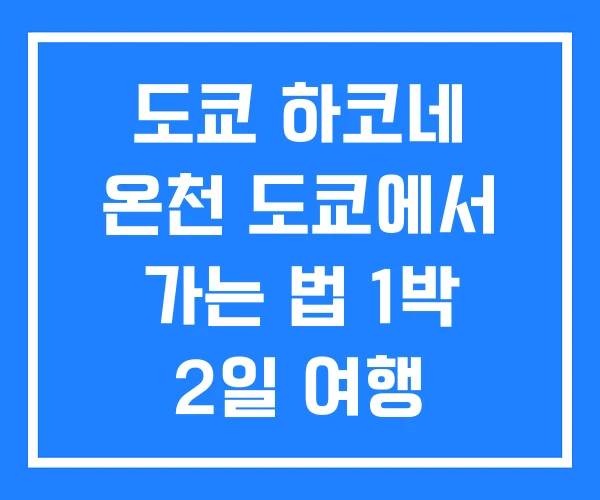 도쿄 하코네 온천 도쿄에서 가는 법 1박 2일 여행