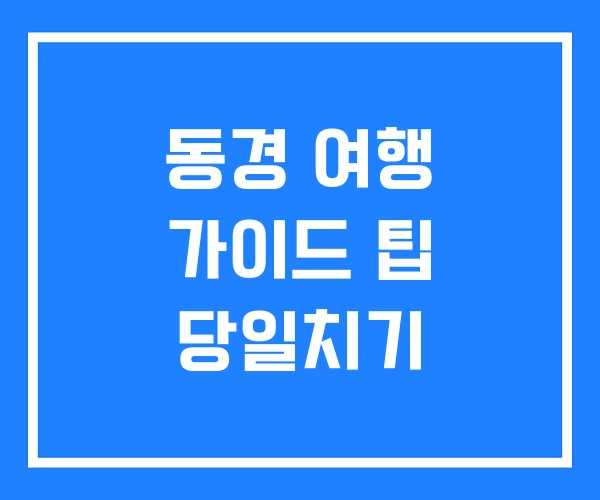동경 여행 가이드 팁 당일치기