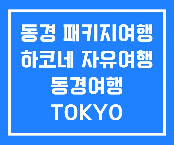 동경 패키지여행 하코네 자유여행 동경여행 TOKYO TRIP