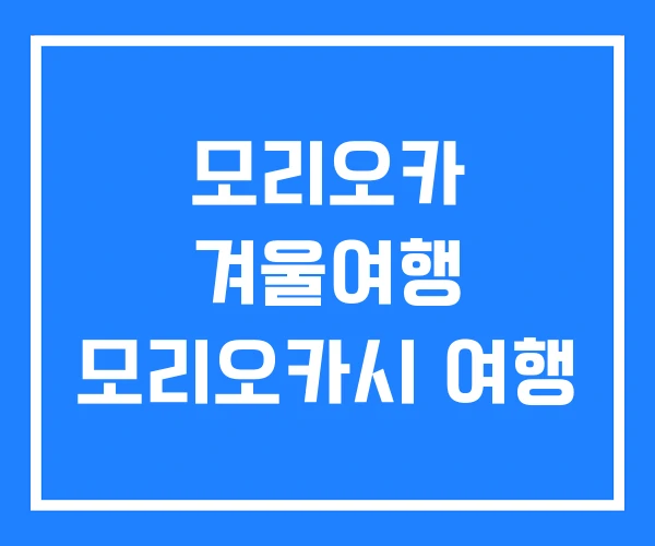 모리오카 겨울여행 모리오카시 여행