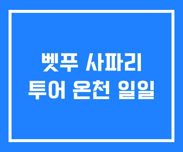 벳푸 사파리 투어 온천 일일