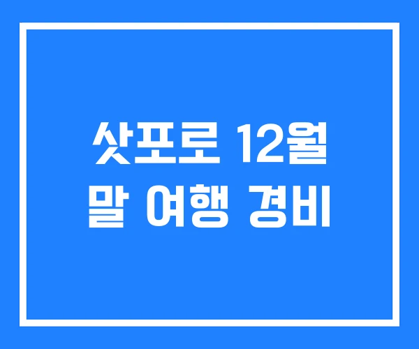 삿포로 12월 말 여행 경비