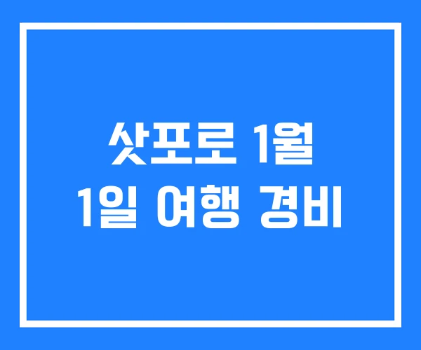 삿포로 1월 1일 여행 경비