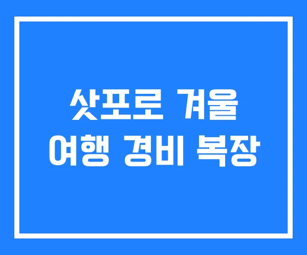 삿포로 겨울 여행 경비 복장