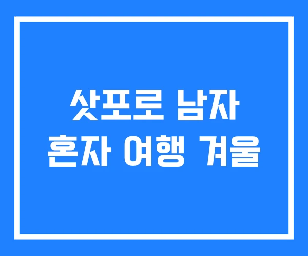 삿포로 남자 혼자 여행 겨울