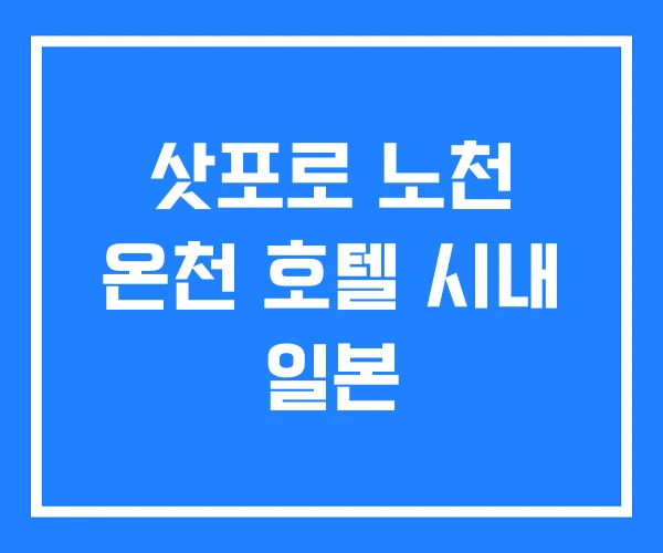 삿포로 노천 온천 호텔 시내 일본