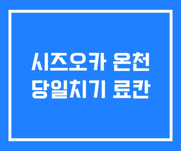 시즈오카 온천 당일치기 료칸