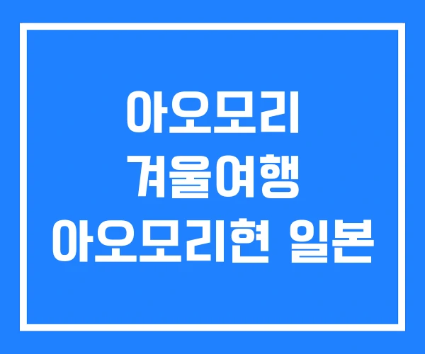 아오모리 겨울여행 아오모리현 일본