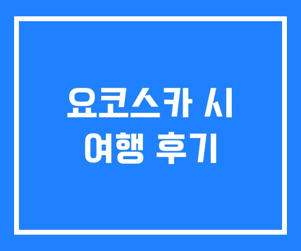 요코스카 시 여행 후기