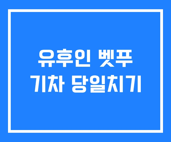 유후인 벳푸 기차 당일치기 유후인 벳푸 기차 당일치기