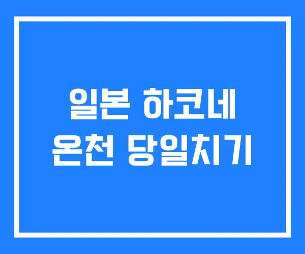 일본 하코네 온천 당일치기
